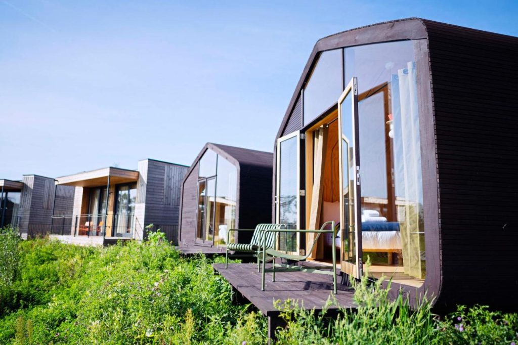 Maison écologique et design entourée de verdure.