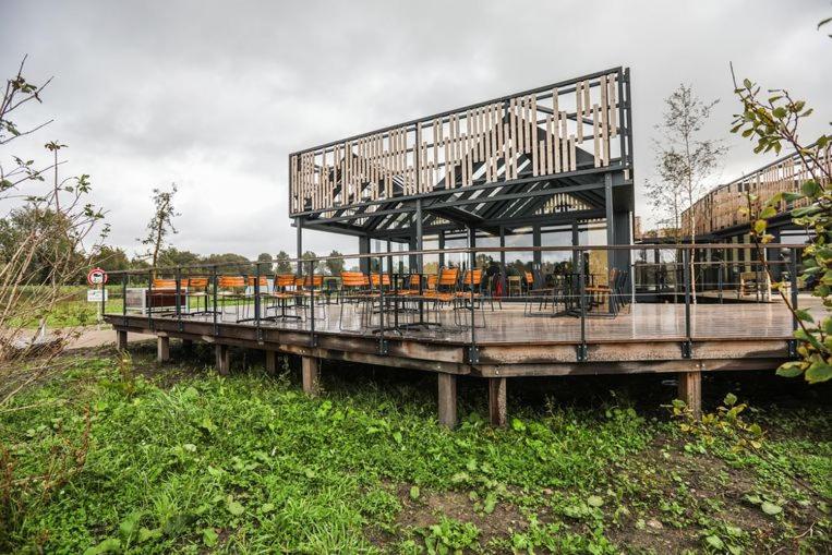 Maison écologique et design entourée de verdure.