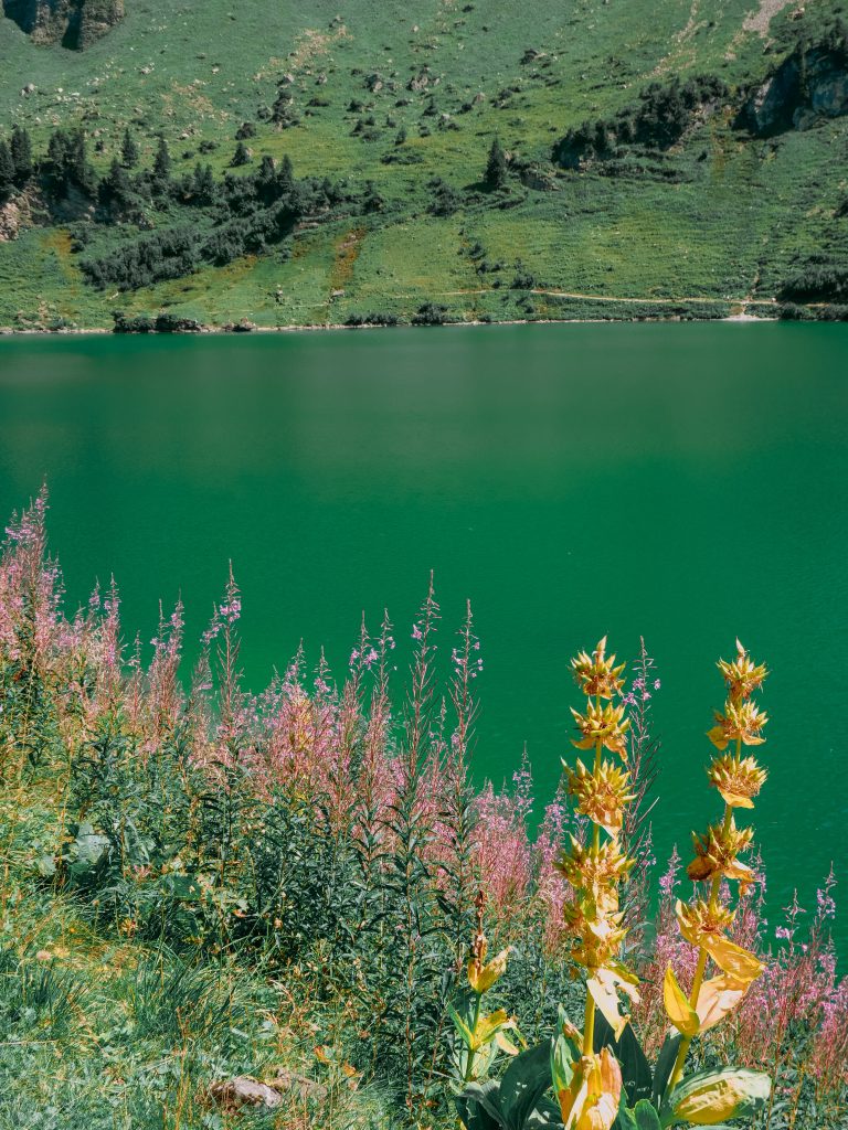 Lac Lioson lors de de notre Road trip en Suisse