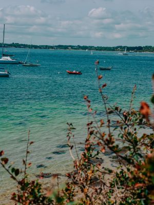 l'Iles aux Moines Morbihan